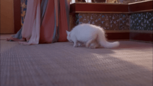 screen-shot-2015-01-13-at-11-24-58-pm