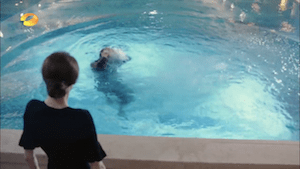 Screen Shot 2015-02-16 at 11.02.55 PM