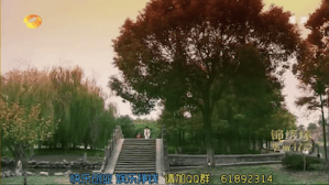 Screen Shot 2015-03-08 at 11.39.30 AM