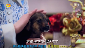 Screen Shot 2015-03-13 at 9.39.30 AM