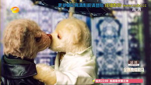 Screen Shot 2015-03-18 at 9.32.23 AM