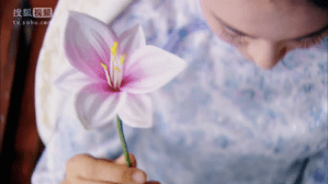 Screen Shot 2015-06-05 at 3.02.29 PM