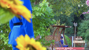 Screen Shot 2015-06-28 at 10.41.16 AM