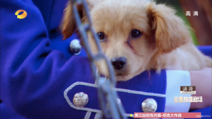 Screen Shot 2015-06-28 at 10.41.23 AM