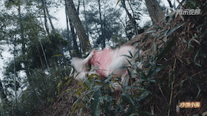 screen-shot-2016-11-13-at-12-11-15-am