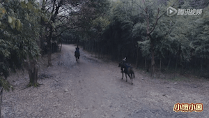 screen-shot-2016-11-27-at-2-49-40-pm