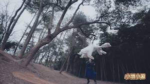 screen-shot-2016-11-27-at-2-56-31-pm